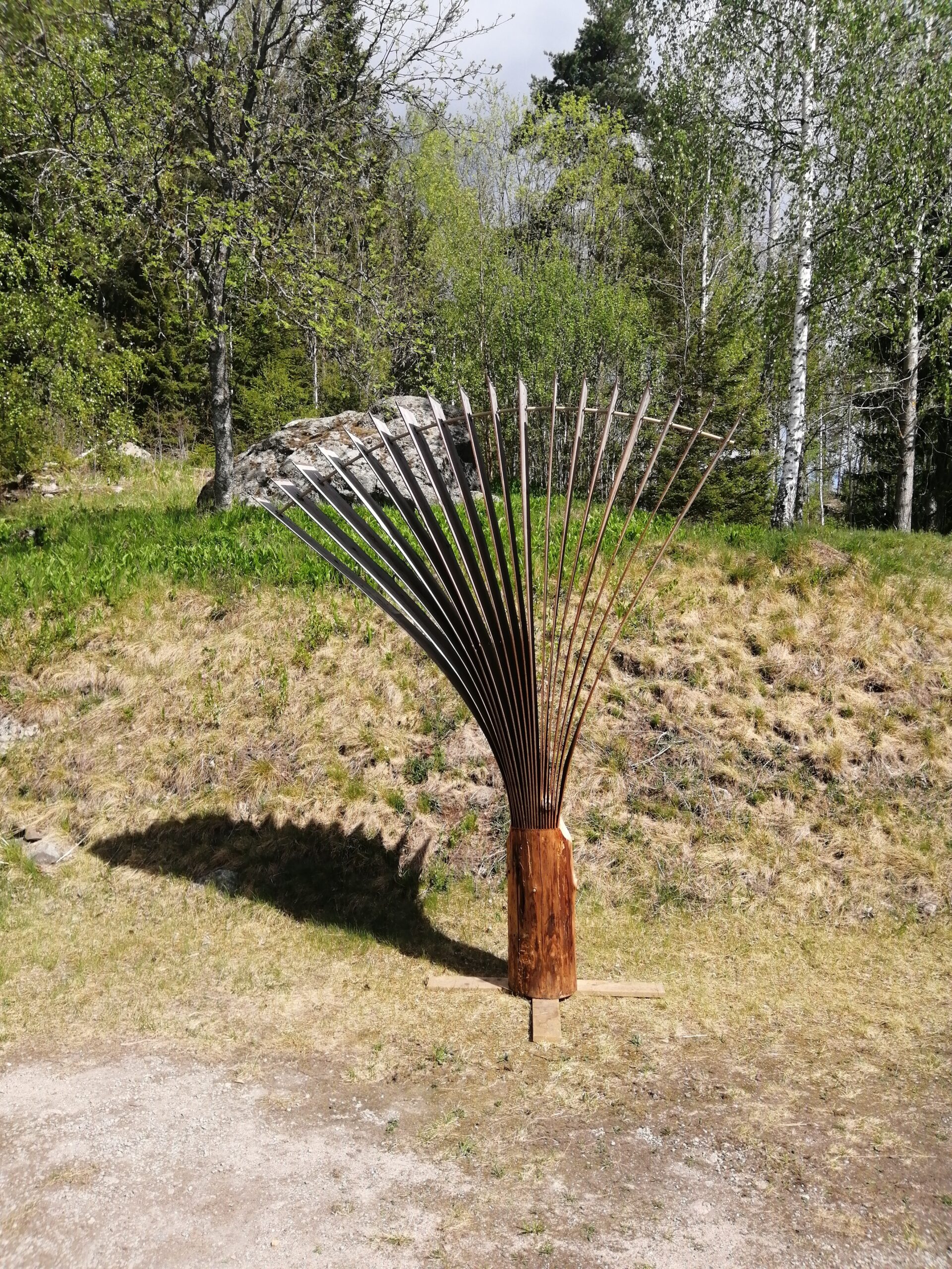 IMG_20220523_113407_01