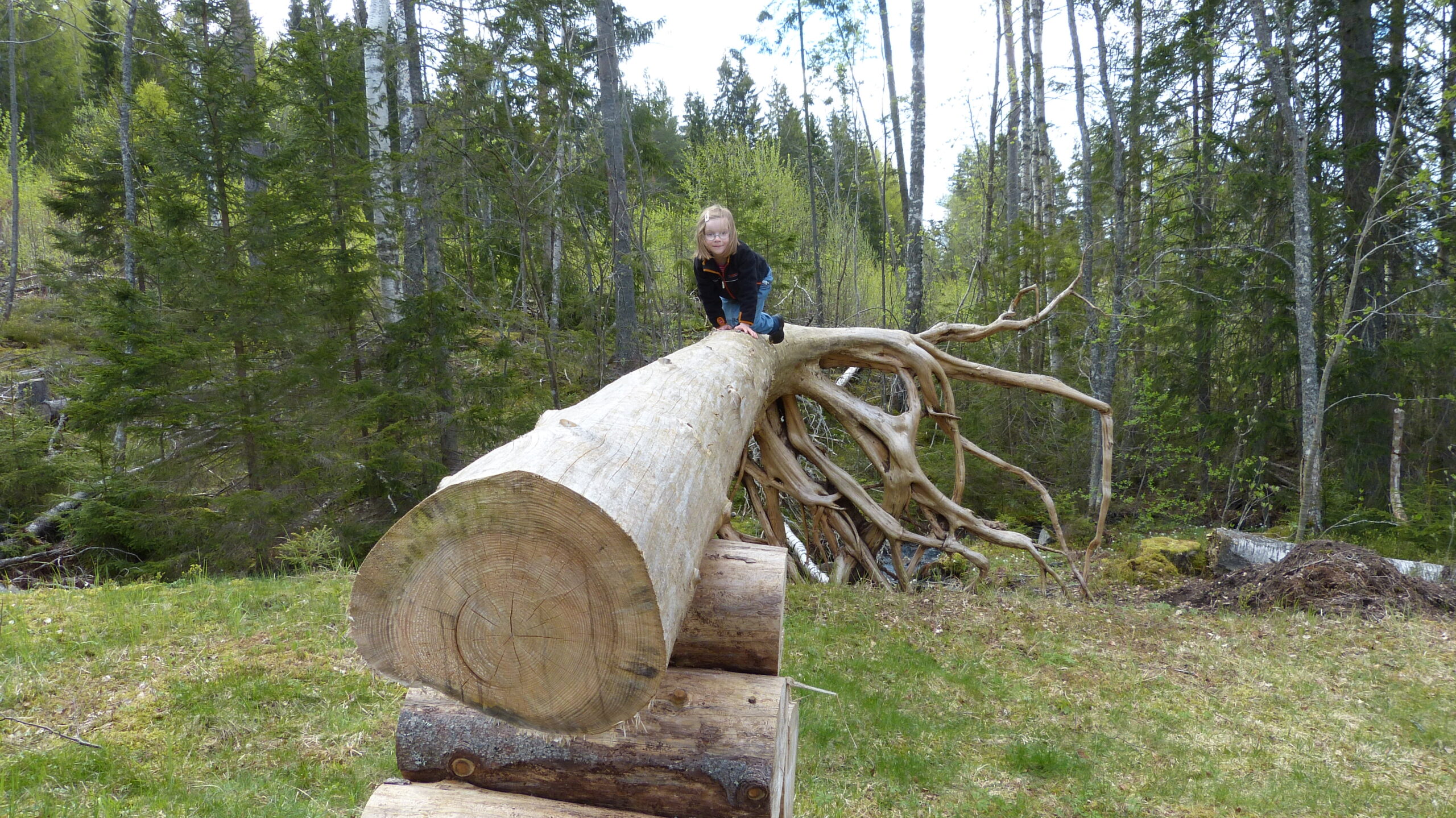 Lekskulptur i Brunnsvik