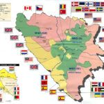 internationella sektorer